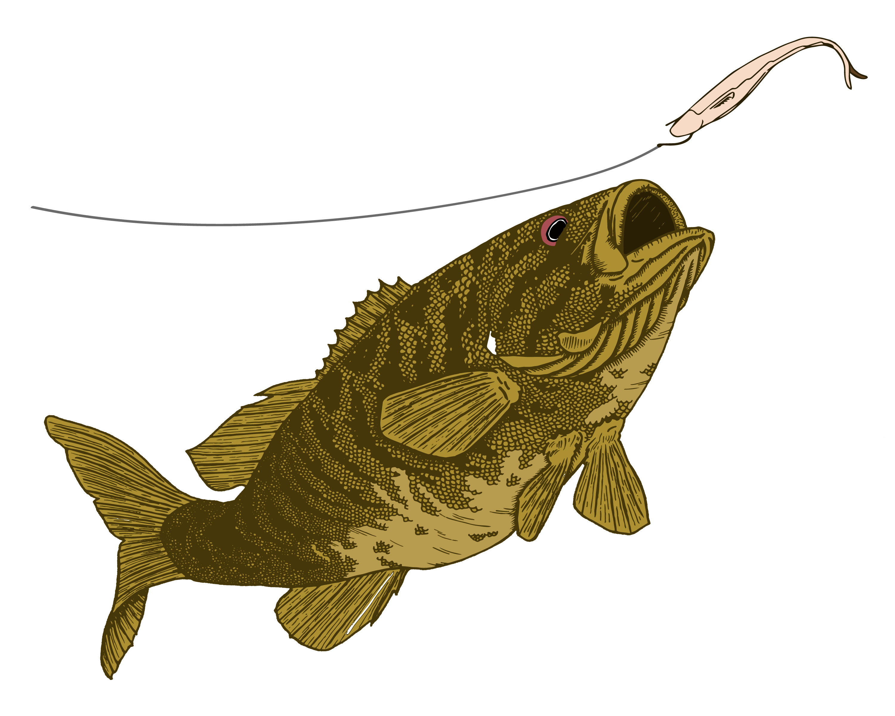 Smallie & Fluke 8 X 10, Cardstock