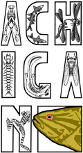 Load image into Gallery viewer, Smallie Snacks Long Sleeve Sun Shirt
